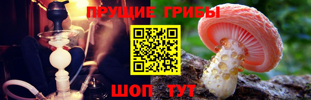 Галлюциногенные грибы мицелий  Галлюциногенные грибы ЛСД  цена   Вход с VPN  Верхняя Пышма 